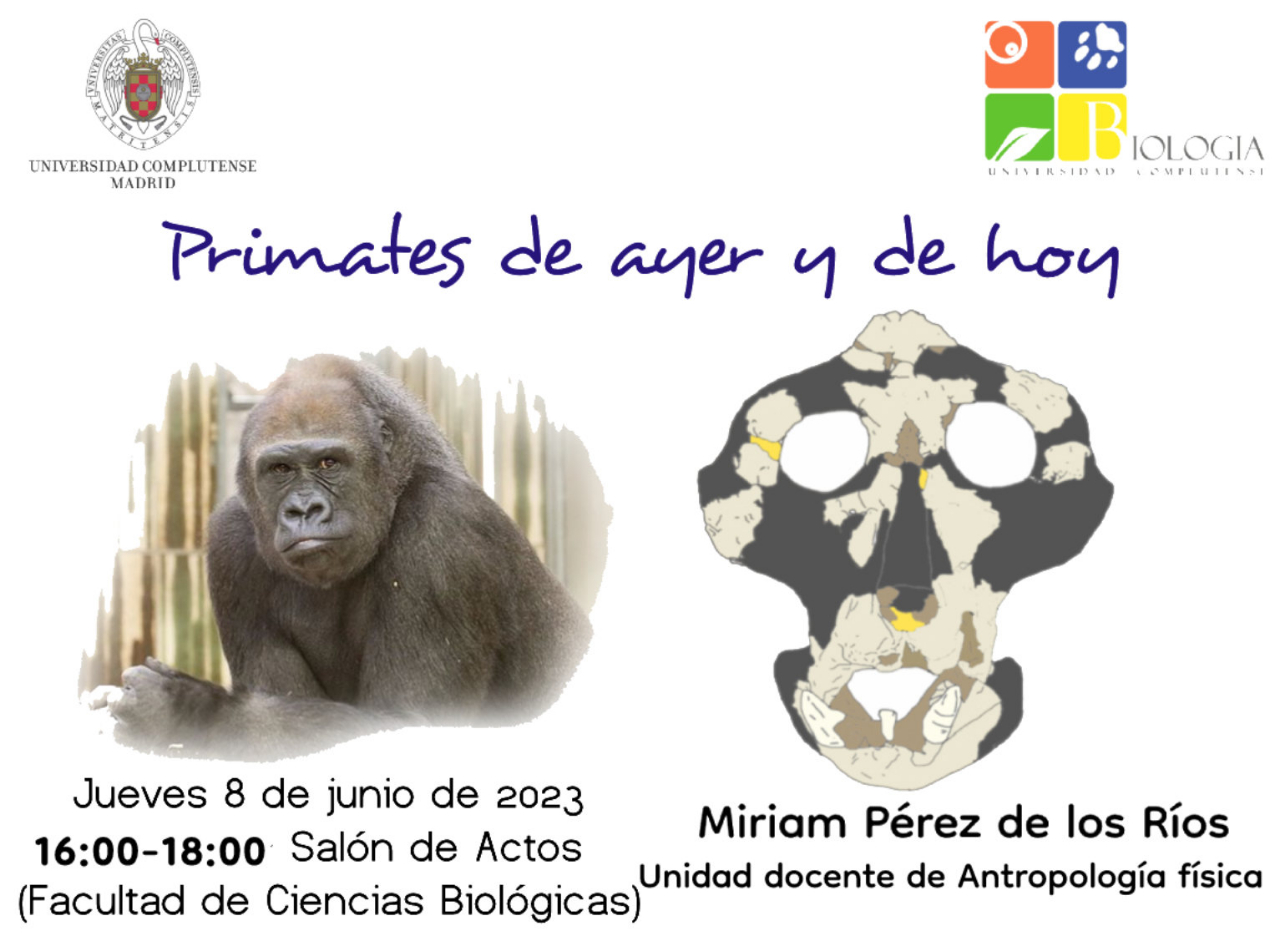 Miriam Pérez impartirá un seminario sobre primates - 8 Junio