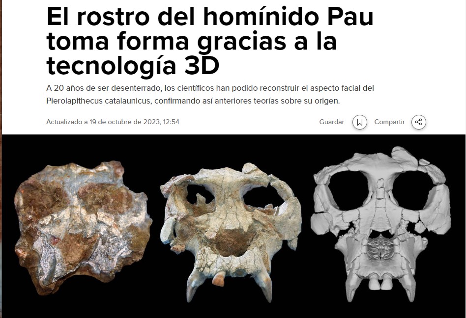 El trabajo de Miriam Pérez sobre Pierolapithecus en los medios