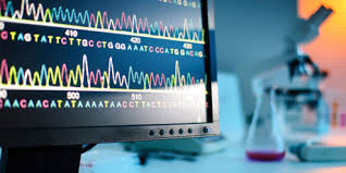 Curso de Experto en Bioinformática para Biodiversidad, Ecología y Evolución