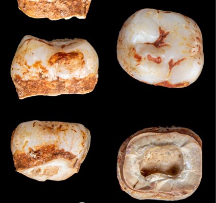 Publicaciones recientes de la Unidad Docente