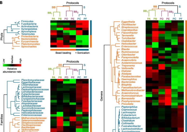 Artículo: Distinct Human Gut Microbial Taxonomic Signatures Uncovered With Different Sample Processing and Microbial Cell Disruption Methods for Metaproteomic Analysis