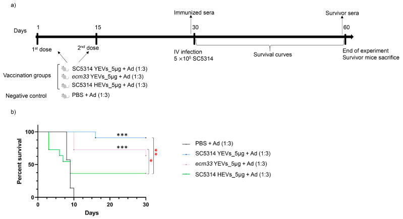 Nuevo artículo: From High Protection to Lethal Effect: Diverse Outcomes of Immunization Against Invasive Candidiasis with Different Candida albicans Extracellular Vesicles