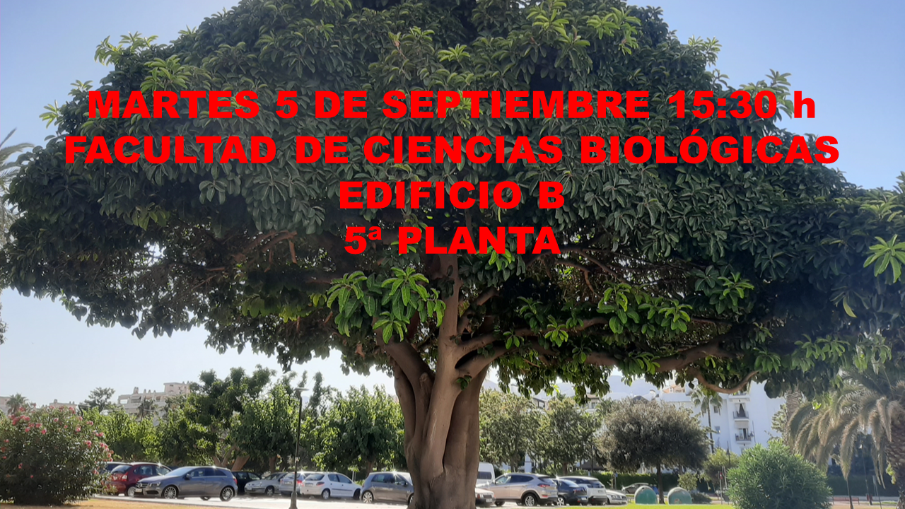 Comienzo del curso 23-24