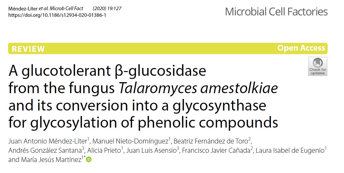 Nueva publicación del Grupo del CIB-CSIC sobre el uso de b-glucosidasas