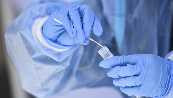 Grupos de Investigación