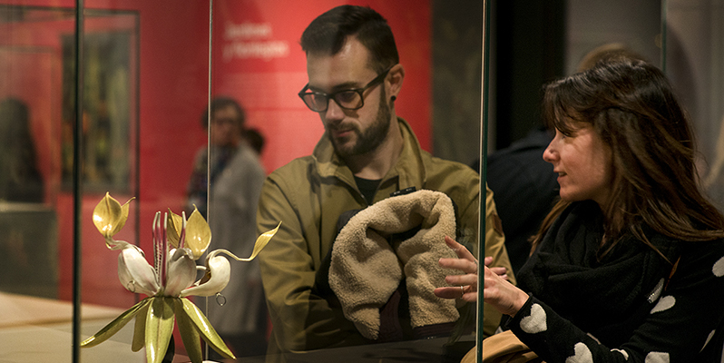 Herbarios imaginados, donde la ciencia, el arte y la belleza se dan la mano