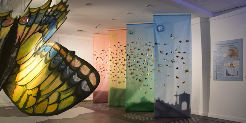 Expo Mariposas en tu Ciudad. Hasta el 17 de abril, en el Jardín Botánico UCM