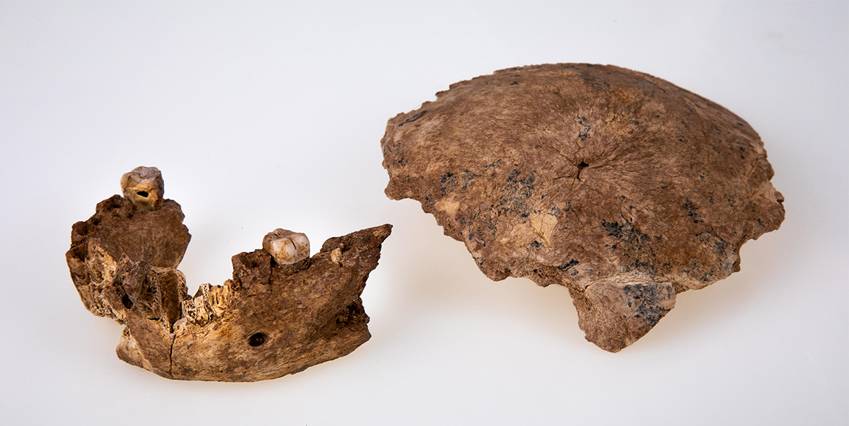La revista Science publica el hallazgo de neandertales arcaicos en el Yacimiento de Nesher Ramla (Israel)