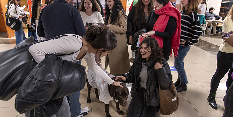 Más de 50 ONG, asociaciones e instituciones muestran en la UCM las oportunidades de hacer voluntariado