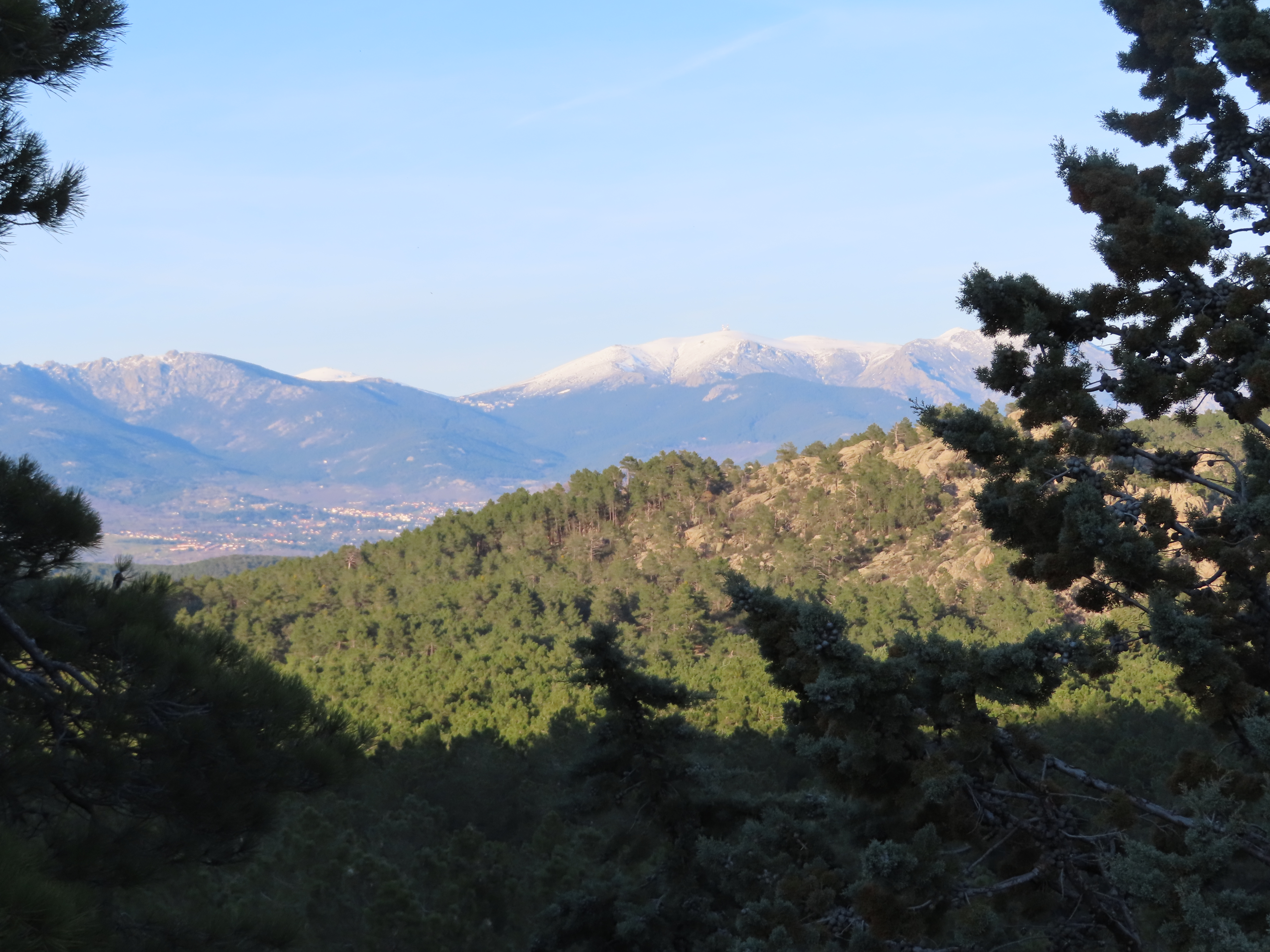  DÍA INTERNACIONAL DE LOS BOSQUES (21 de Marzo del 2026)  