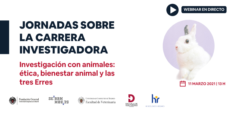 Investigación con animales: ética, bienestar animal y las tres Erres
