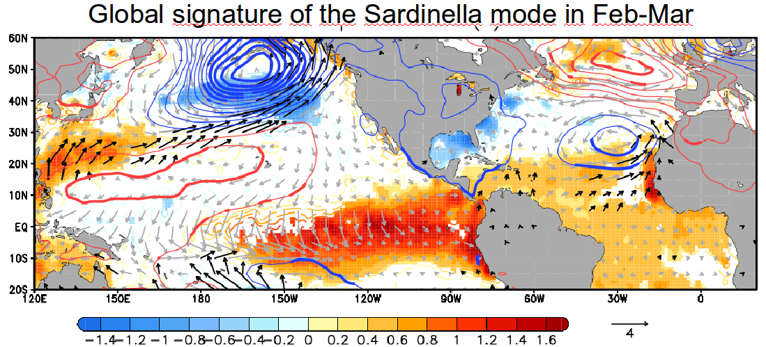 Seminario de Geofísica:   El Niño como predictor la variabilidad de las sardinela en el afloramiento de Mauritania. Jueves 5 de noviembre a las 16:00