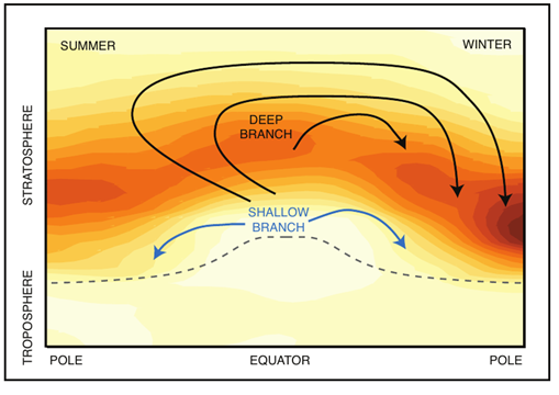 ¿Cómo afecta el Cambio Climático a la circulación estratosférica y la capa de ozono? JUEVES, 3 DE DICIEMBRE, A LAS 16:00 