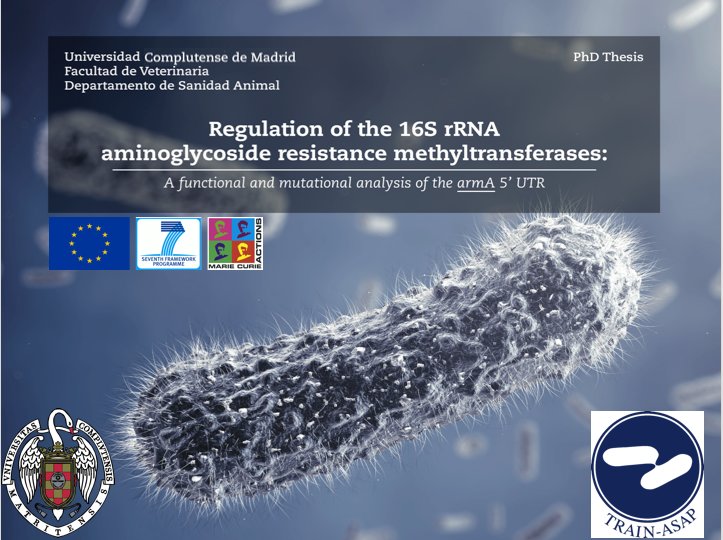 Defensa Tesis Doctoral Andreas Hoefer