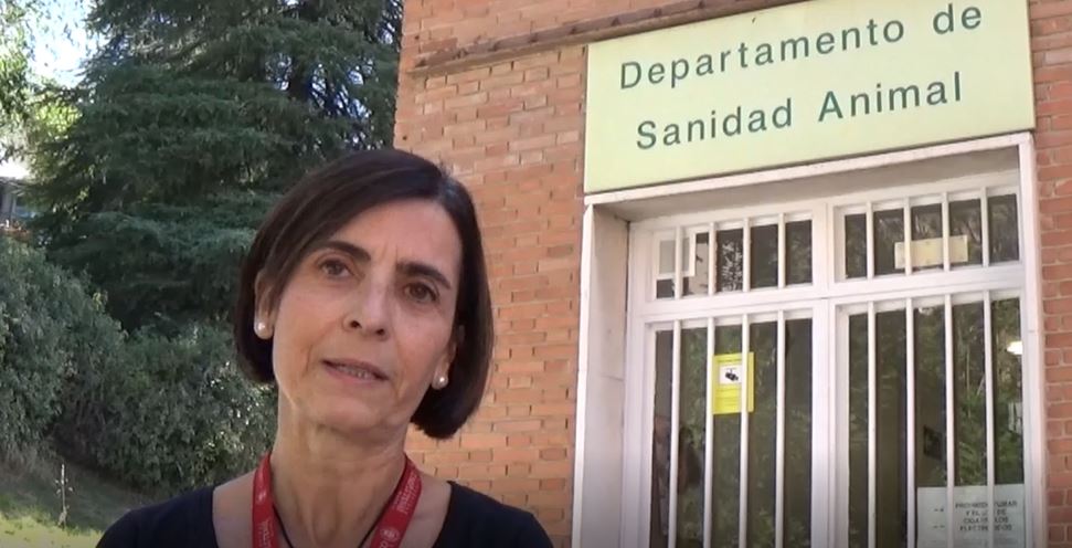 Conoce más de cerca al Departamento de Sanidad Animal