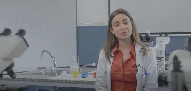 De la A a la Z(iencia). ¿Es la vacuna contra la Leishmania una quimera? Nuestra compañera Clara Hurtado nos aclara el término, no dejes de escucharla