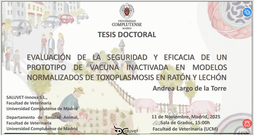 El 11 de noviembre a las 15:00 en la Sala de Grados Andrea Largo de la Torre defenderá su interesante tesis sobre una vacuna frente a la toxoplasmosis