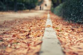 Curso de Otoño