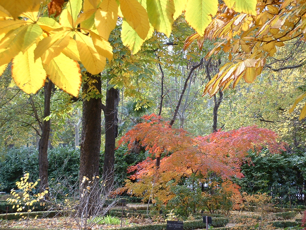 Curso de Otoño