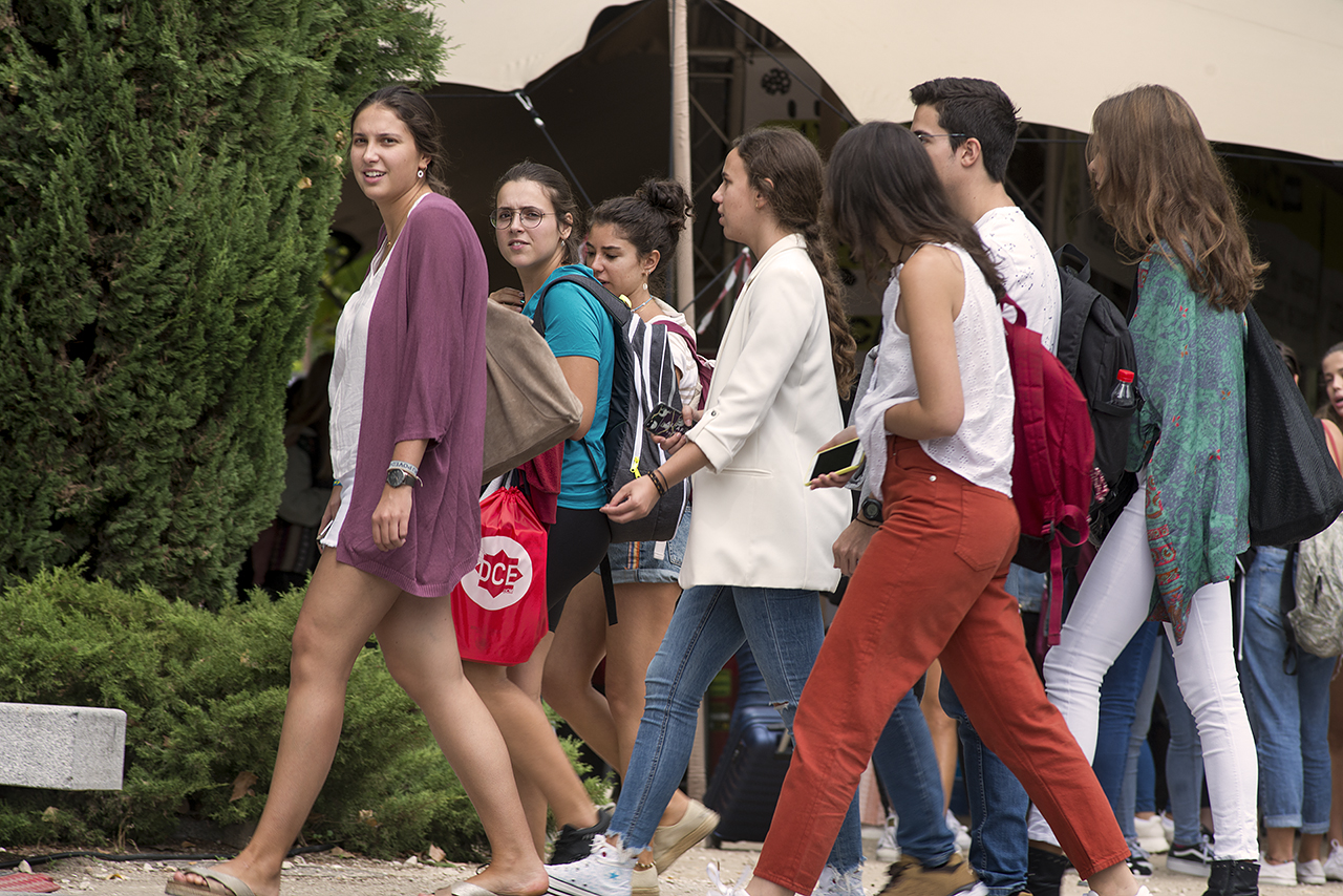 Cursos de verano