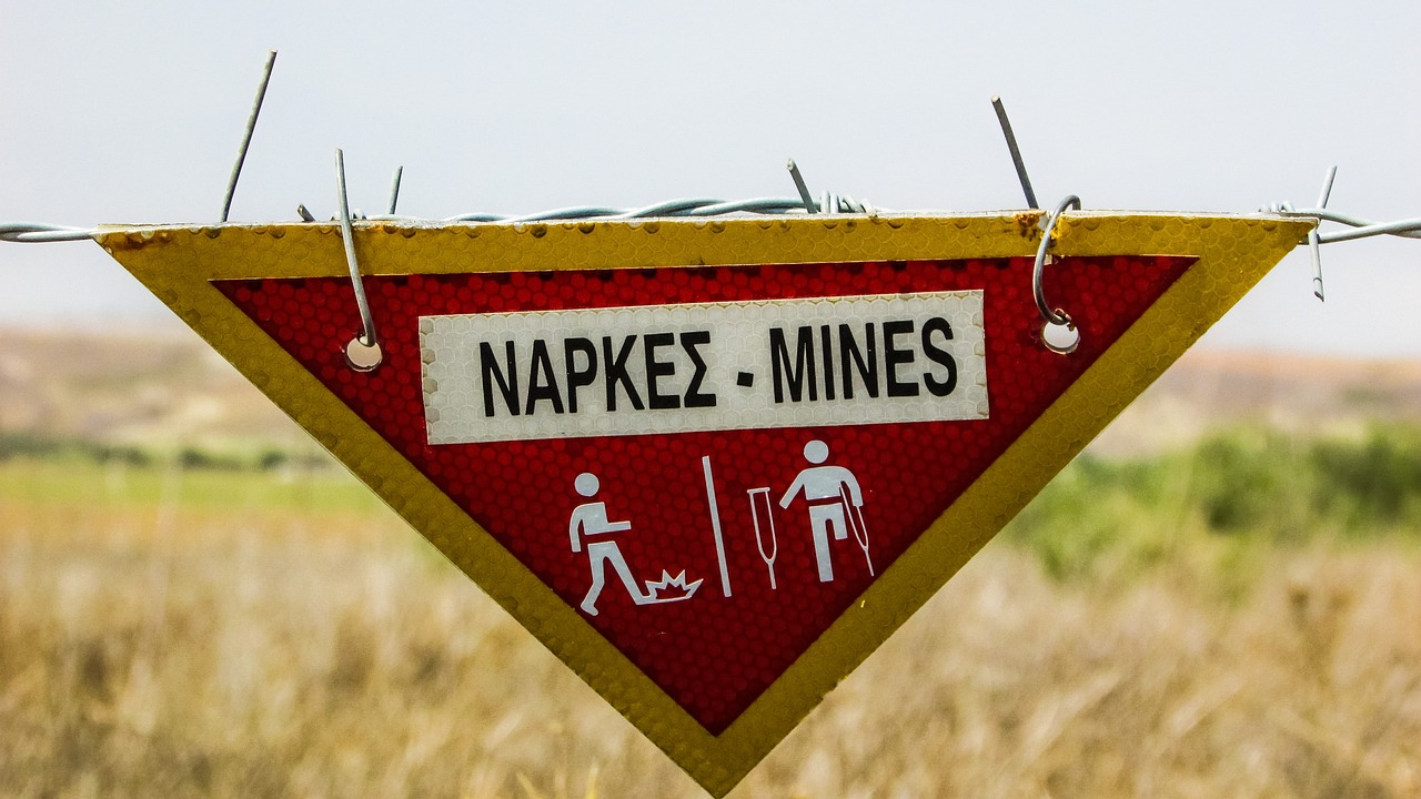 Día Internacional de información sobre el peligro de las minas y de asistencia para las actividades relativas a las minas - 1