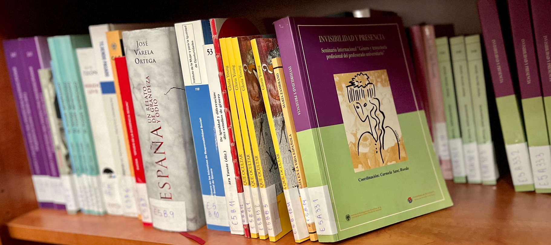 Sala de lectura y consulta bibliográfica del Instifem