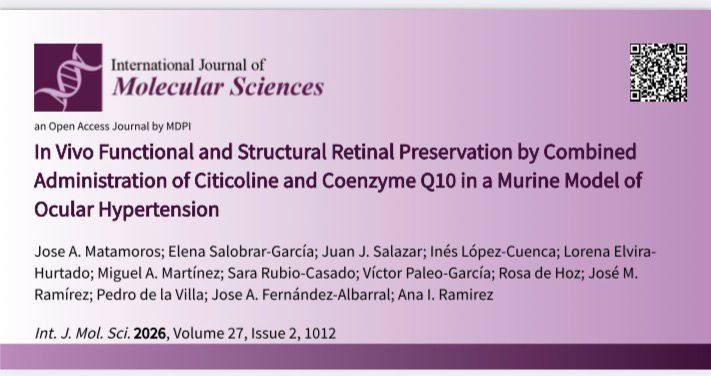 Nuevo artículo de nuestro equipo de investigación básica en CC de la visión