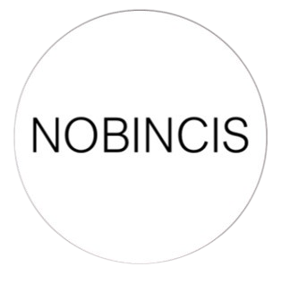 Últimas publicaciones NOBINCIS