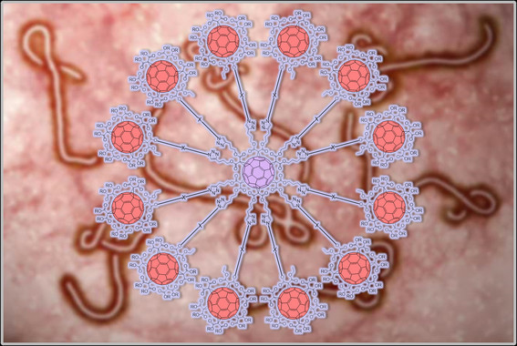 Synthesis of giant globular multivalent glycofullerenes as potent inhibitors in a model of Ebola virus infection.