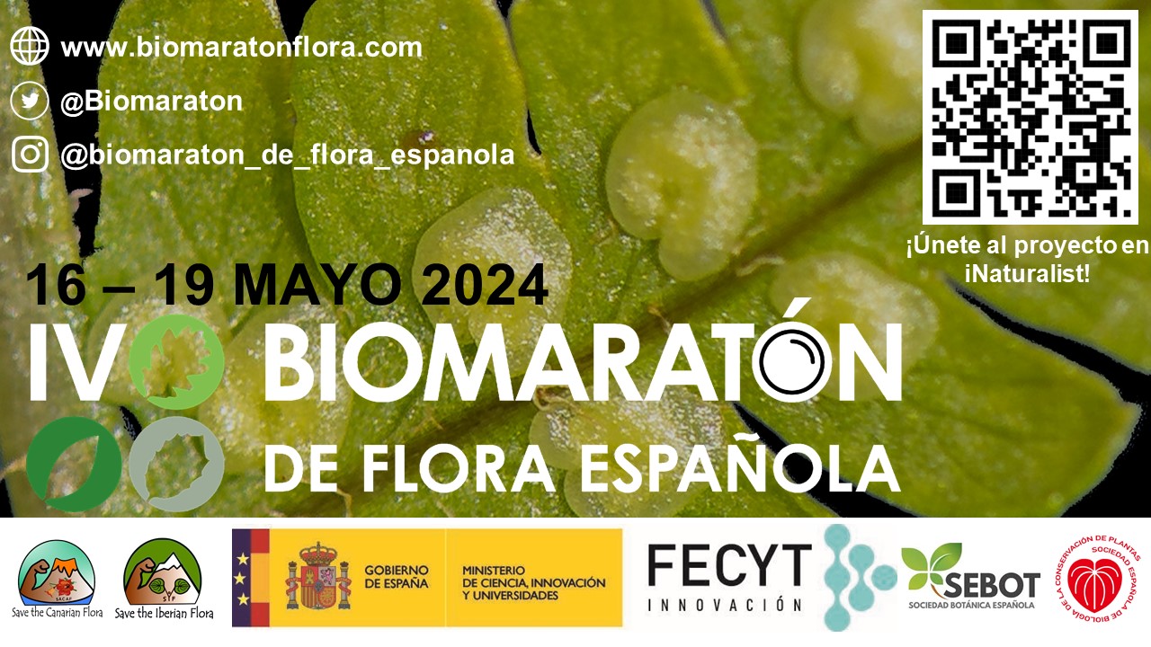 IV Biomaratón de Flora Española 
