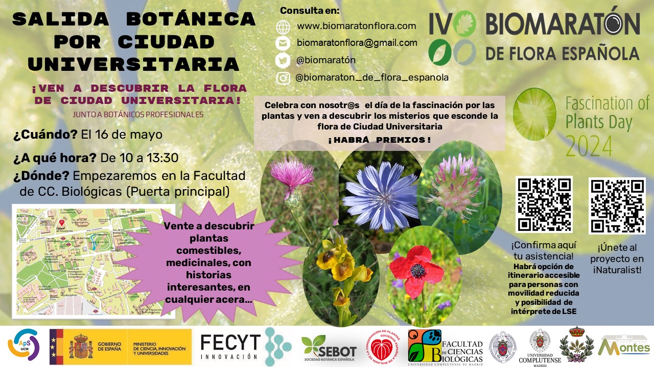 Salida botánica por la Ciudad Universitaria 16 de Mayo (IV Biomaratón de Flora Española)