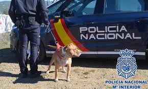La Policía ahonda en la transformación digital y en sus beneficios