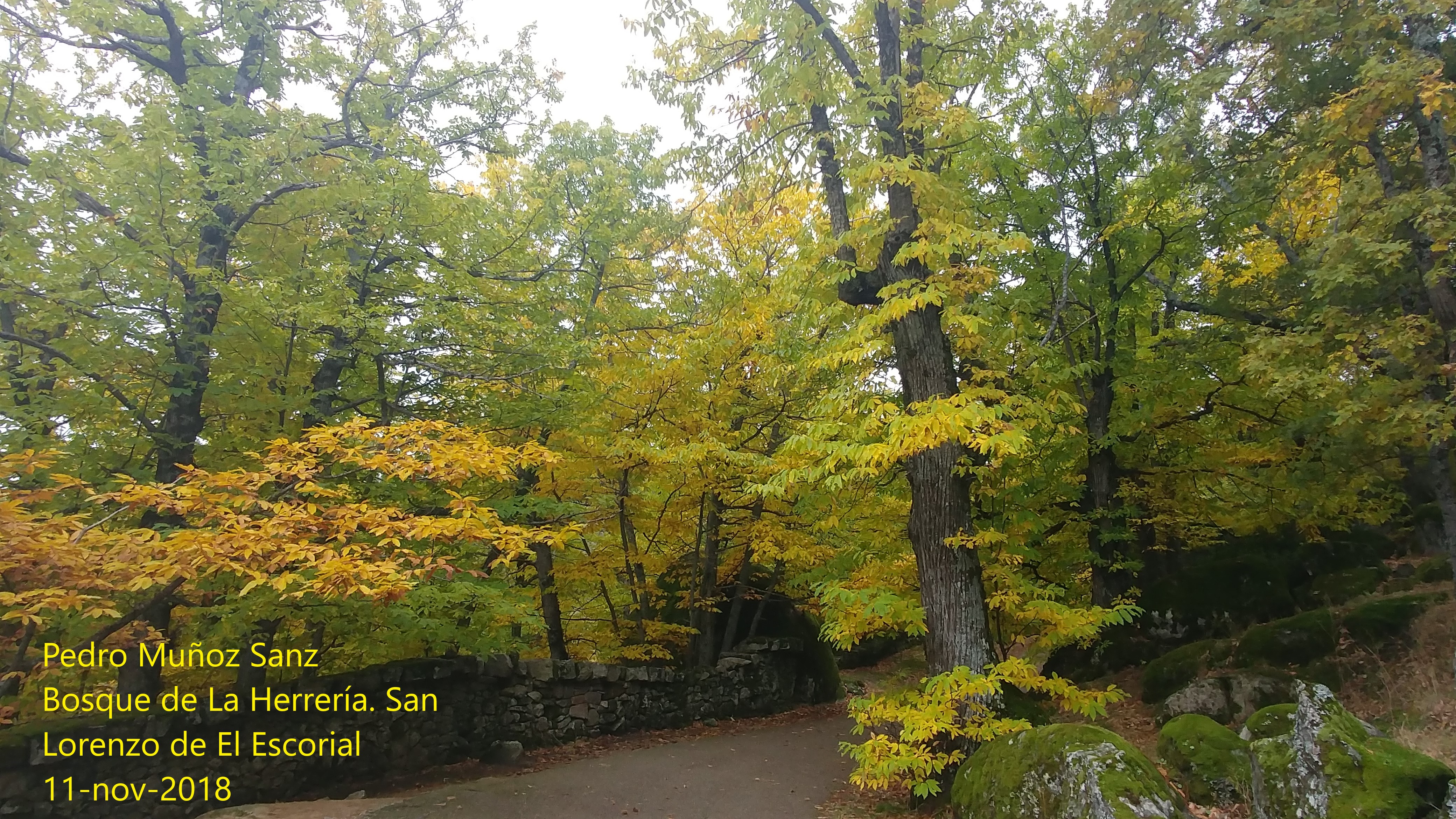 GuMNet Photo Gallery