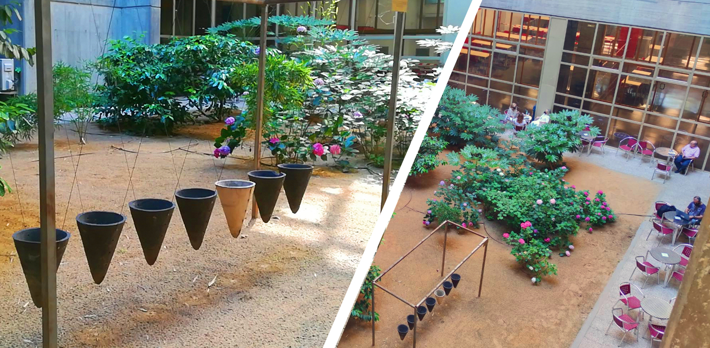 El Jardín Interior de la Facultad vuelve a abrir sus puertas