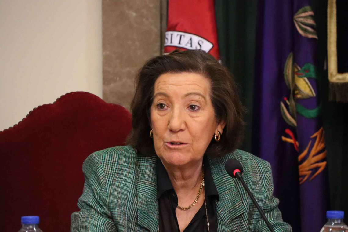 La Comisión de Patrimonio Histórico Artístico se reúne para su junta anual - 3