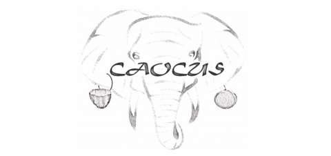 Premio al mejor proyecto de emprendimiento social: CAOCUS
