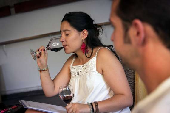 Aromas y sabores de jóvenes vinos en barrica de roble francés