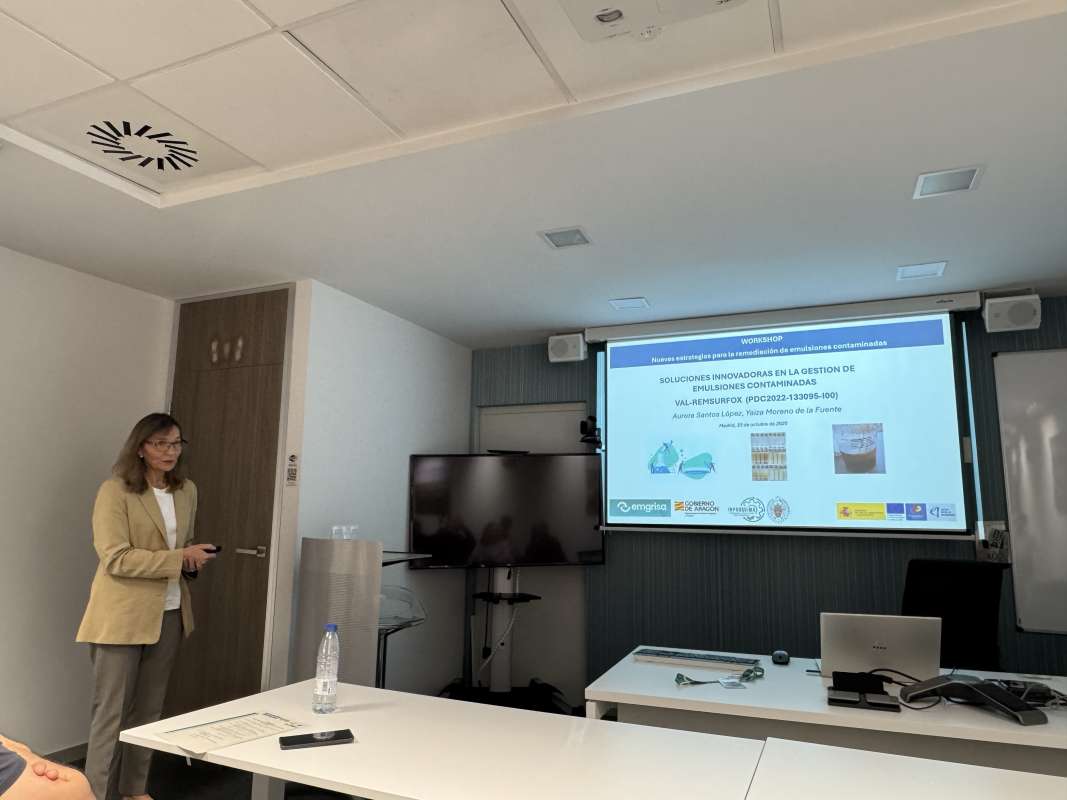 Workshop sobre nuevas estrategias para la remediación de emulsiones contaminadas - 2