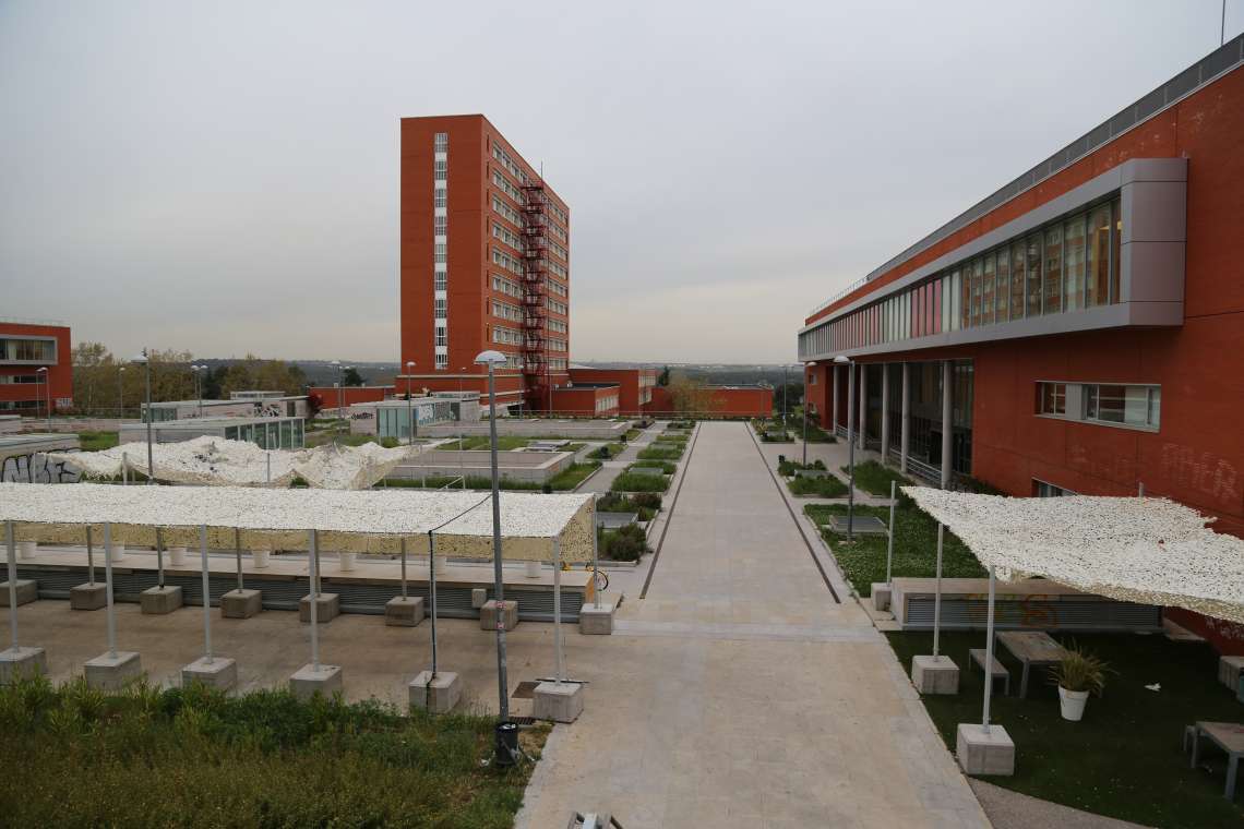 Foto 11