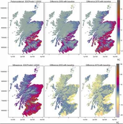 Nuevo artículo: Barking up the wrong tree? Can forest expansion help meet climate goals?