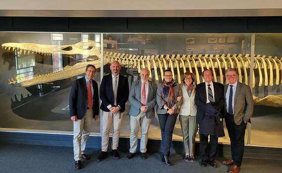 El Museo de Historia Natural de la Universidad de Harvard acogió la reunión de primavera del Consejo Académico del Real Colegio Complutense en Harvard.