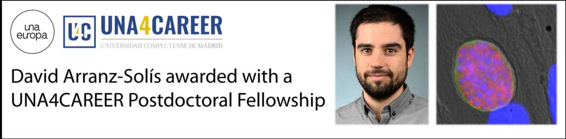 UNA4CAREER Fellowships - 1