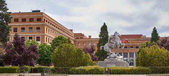 Prácticas para estudiantes internacionales en la Complutense. ¡Infórmate!