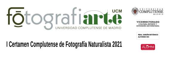 FotografiARTE lleva el arte y la fotografía al Jardín Botánico de la Complutense