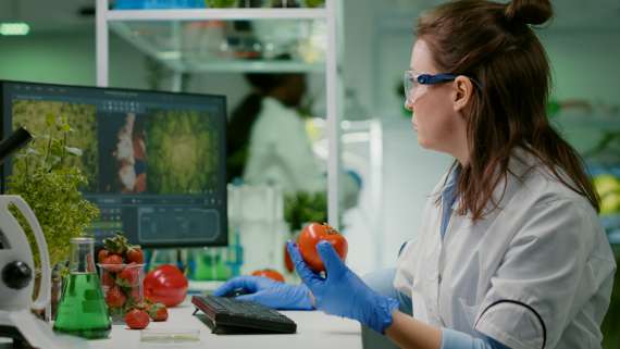 Se convocan pruebas selectivas para el ingreso, por el sistema general de acceso libre, en el Cuerpo de Técnicos Superiores de Salud Pública, Especialidad Tecnología Alimentos, Grupo A, Subgrupo A1, de la Comunidad de Madrid.