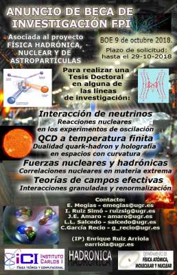 Oferta Beca FPI (Física Hadrónica, Nuclear y de Astropartículas (Univ. Granada).