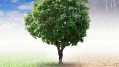 El cambio climático amenaza con cambiar la demanda eléctrica antes del 2050