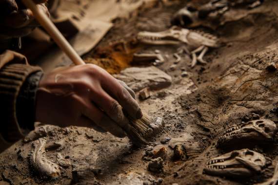 Se convocan pruebas selectivas para el ingreso, por el sistema general de acceso libre, en el Cuerpo de Técnicos Superiores Especialistas, Especialidad de Arqueología, de Administración Especial, Grupo A, Subgrupo A1, de la Comunidad de Madrid.