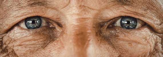Investigadores de la UCM demuestran como la rugosidad de la retina es un indicador del desarrollo del alzhéimer