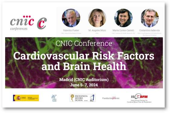 CNIC Conference 2024: 'Cardiovascular Risk Factors and Brain Health'.